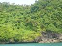 Ganz schön coole Vegetation auf Boracay.