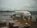 Unsere Singapore Airlines 777-300ER. Schickes Teil, oder?